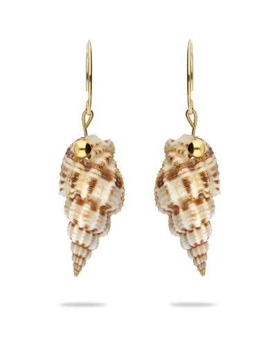 Kolczyki SHELL BEAUTY